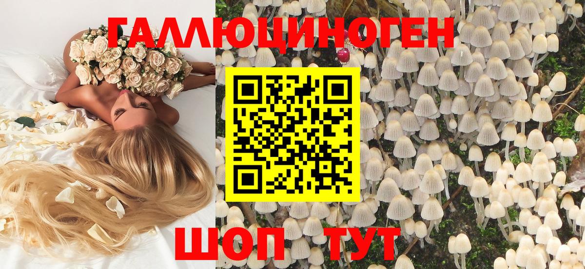 Галлюциногенные грибы Magic Shrooms  Вход с VPN  Заволжье  Галлюциногенные грибы GOLDEN TEACHER 
