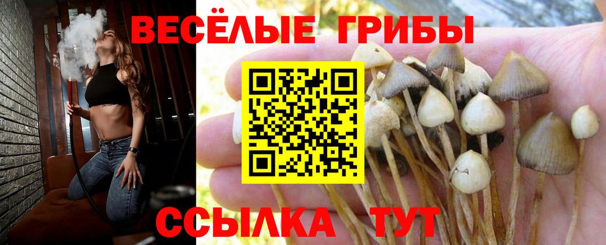 Псилоцибиновые грибы MAGIC MUSHROOMS Заволжье